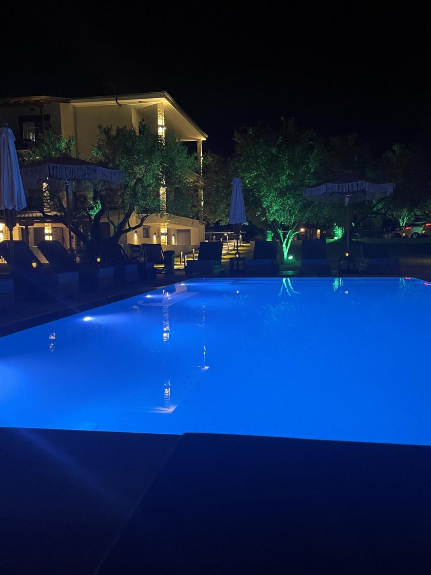 Olia Seaside Residence 120M From The Beach Pefkochori Extérieur photo
